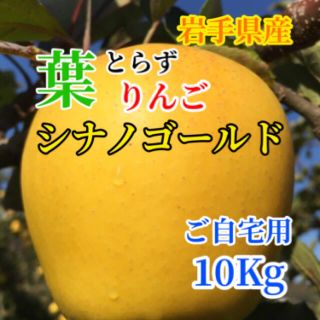 【送料込】葉とらずりんご シナノゴールド 約10kg(フルーツ)