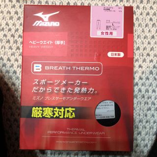 ミズノ(MIZUNO)のブレスサーモ  タイツ　厳寒対応　レディースL(登山用品)