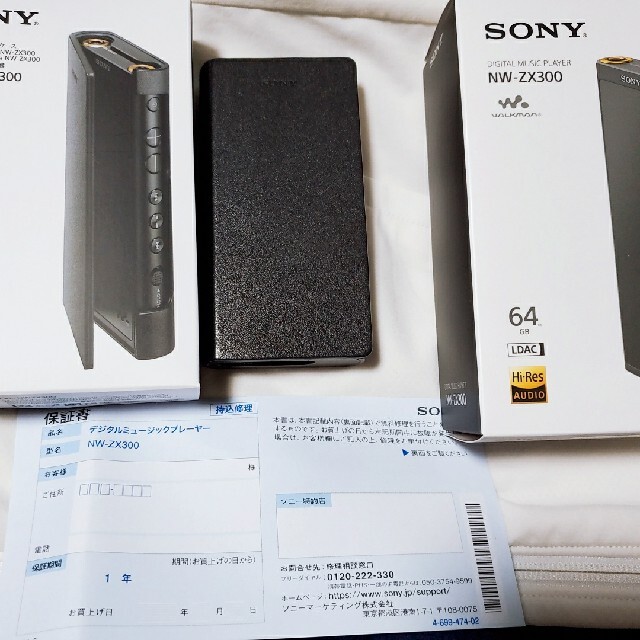 SONY NW-ZX300