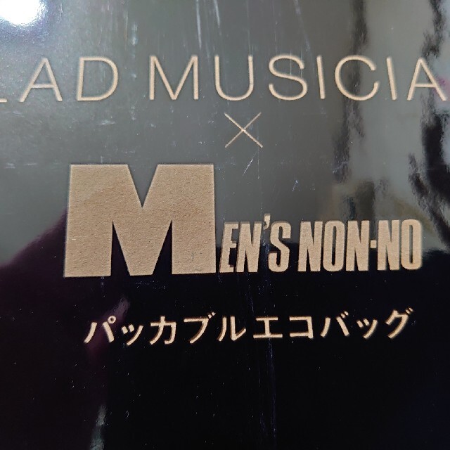 LAD MUSICIAN(ラッドミュージシャン)のラッドミュージシャン パッカブルエコバッグ メンズのバッグ(エコバッグ)の商品写真