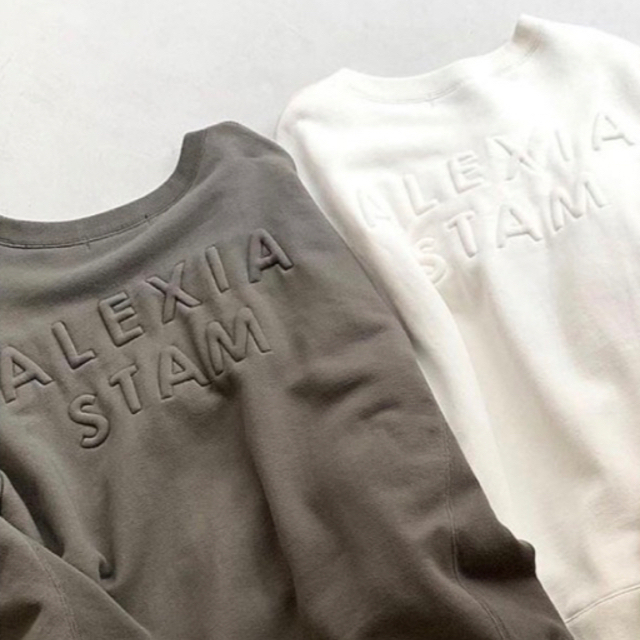 ALEXIA STAM(アリシアスタン)のアリシアスタン Back 3D Logo Sweatshirt スウェット 新品 レディースのトップス(パーカー)の商品写真