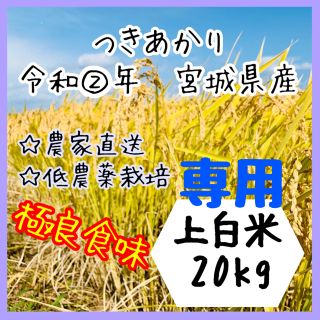 ☆専用品【農家直送】宮城県産つきあかり　上白米20kg【送料無料】(米/穀物)