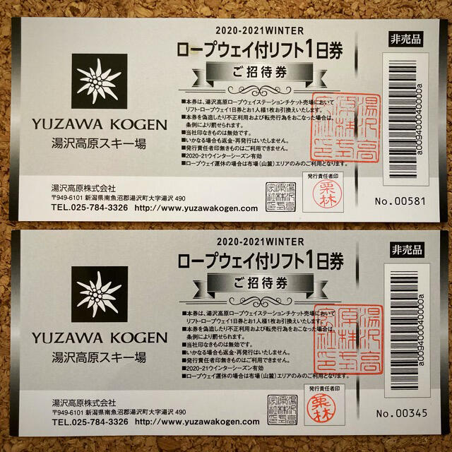 湯沢高原スキー場 ロープウェイ付リフト1日券（2枚）