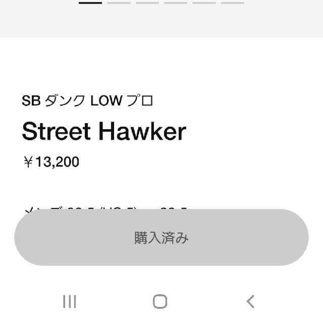 NIKE(ナイキ)のSB　ダンク　LOW　プロ  street hawker メンズの靴/シューズ(スニーカー)の商品写真