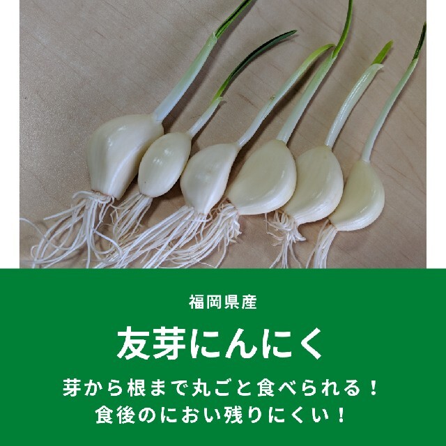 友芽にんにく【simeji様専用】 食品/飲料/酒の食品(野菜)の商品写真