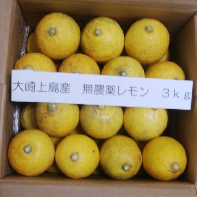 広島県大崎上島無農薬レモン　3kg 食品/飲料/酒の食品(フルーツ)の商品写真
