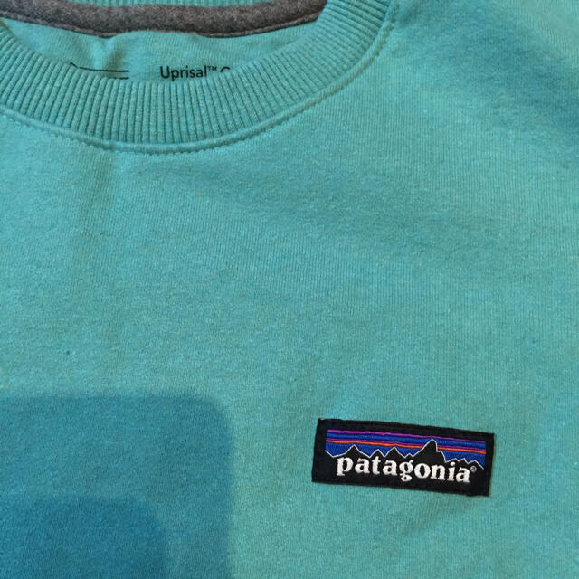 patagonia(パタゴニア)の未使用❗️Patagoniaスウェット トレーナー  L 水色 メンズのトップス(スウェット)の商品写真