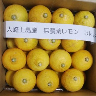 広島県大崎上島無農薬レモン　3kg(フルーツ)