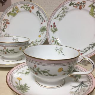 ノリタケ(Noritake)のノリタケ リンネコレクションカップ&ソーサー プレート 廃盤(食器)