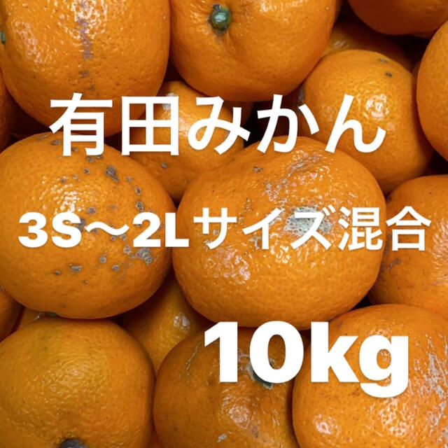 中生みかん訳あり　3S〜2Lサイズ混合　10kg入り‼️ 食品/飲料/酒の食品(フルーツ)の商品写真