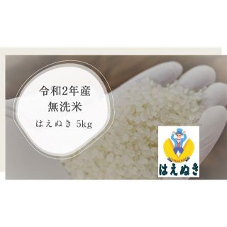 令和2年 はえぬき 無洗米 5kg 山形県尾花沢産 新米 ご自宅用(米/穀物)