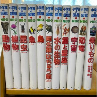 ショウガクカン(小学館)の小学館の図鑑NEO 11冊セット(絵本/児童書)