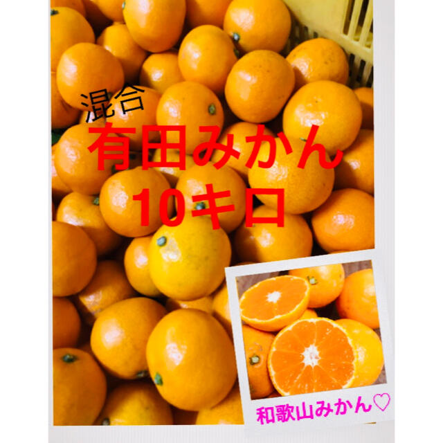 和歌山有田みかん大小ランダム10キロ　残り僅か！ 食品/飲料/酒の食品(フルーツ)の商品写真