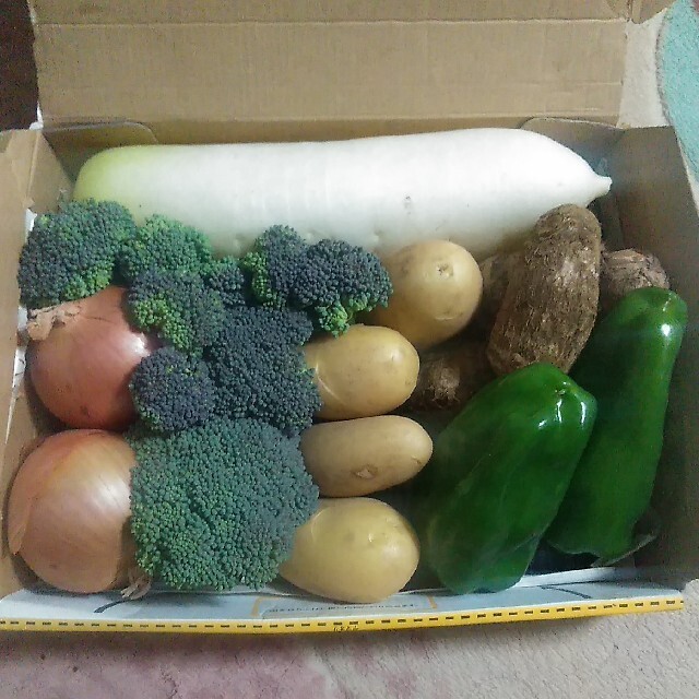 静岡県産野菜詰め合わせセット 食品/飲料/酒の食品(野菜)の商品写真