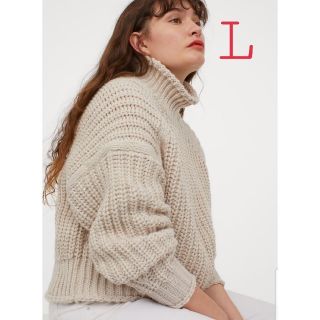 エイチアンドエム(H&M)のH&M今季  (L ライトベージュ) チャンキーニット リブニットハイネック(ニット/セーター)