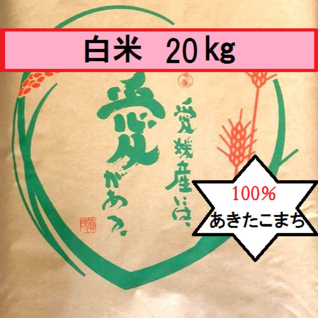 お米　令和2年　愛媛県産あきたこまち　白米　20㎏米/穀物