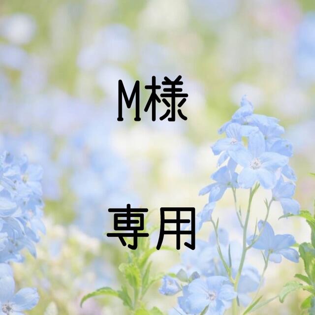M  お米　令和２年　愛媛県産キヌヒカリ　玄米　20㎏