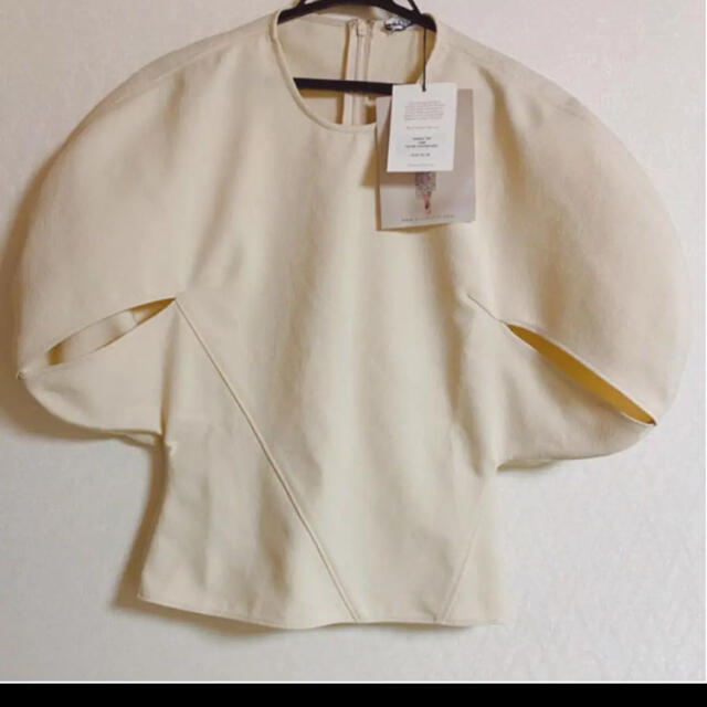 新品タグ付きレジーナピョウ カットソー