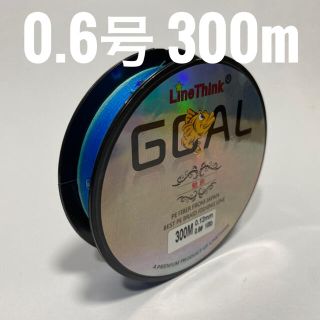 PEライン 0.6号 300m ブルー 【訳あり】(釣り糸/ライン)