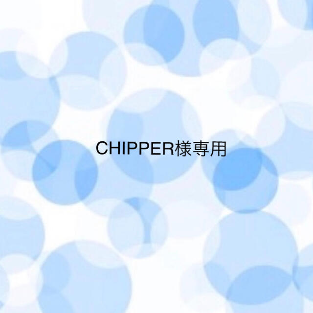 新作人気モデル CHIPPER様専用 プロテイン