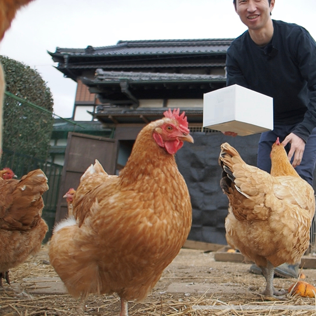 放飼い卵10個入り詰め合わせ(名古屋コーチン、ボリスブラウン、岡崎おうはん) 食品/飲料/酒の食品(その他)の商品写真