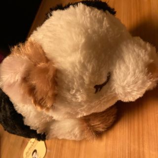 ◇作家gyroscopeさま 毛長ねこちゃん ぬいぐるみ◇ www.icag.org.gy