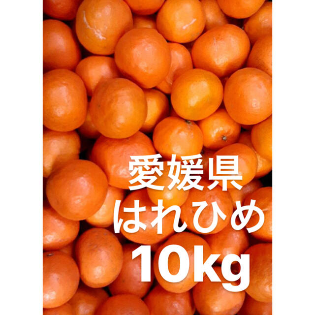 愛媛県　はれひめ　10kg 食品/飲料/酒の食品(フルーツ)の商品写真