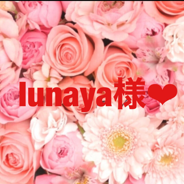 全品送料無料中 専用ページ lunaya様♡ | www.butiuae.com