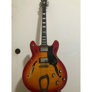 Gibson - TH様専用 Hagstrom ハグストローム Viking deluxeの通販