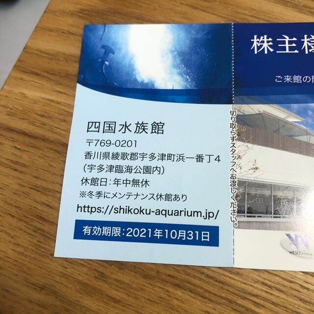 四国水族館1名無料券 チケットの施設利用券(水族館)の商品写真