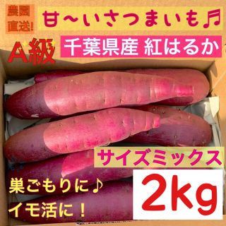 千葉県産サツマイモ　熟成紅はるか　サイズミックス　2kg(野菜)