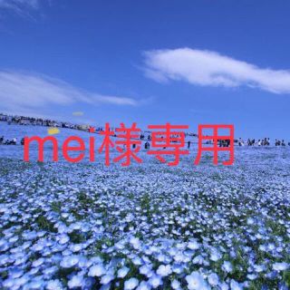 mei様専用10回分(パック/フェイスマスク)