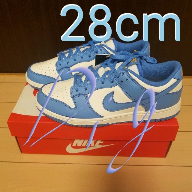 NIKE DUNK Low コースト 28cm