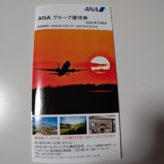 エーエヌエー(ゼンニッポンクウユ)(ANA(全日本空輸))のANA グループ優待券(その他)