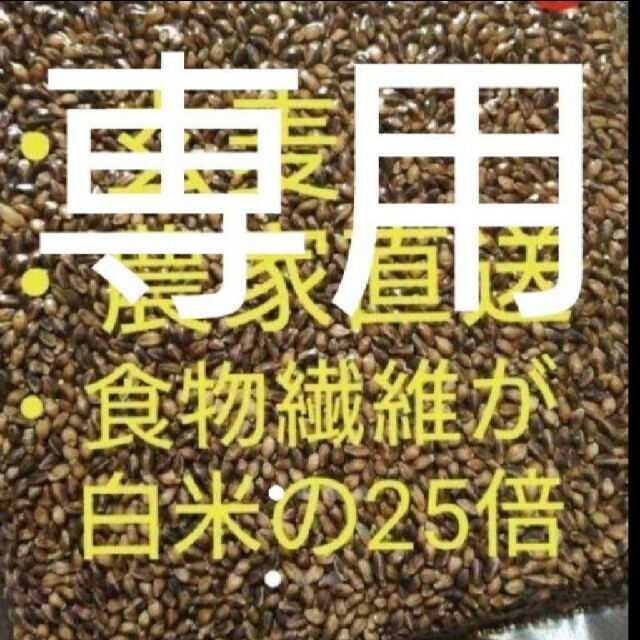 ダイシモチ 玄麦香川県⚫︎品種