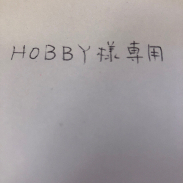 最安値公式サイト ぷちサンプル 虹色デリカ HOBBY様専用 売り割引 
