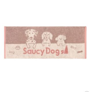 Saucy Dog タオル(ミュージシャン)