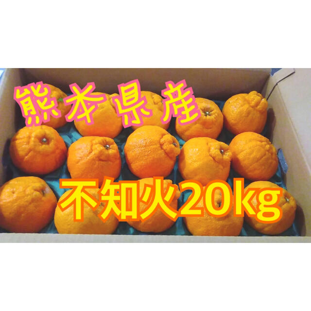 柑橘熊本県産不知火20kg
