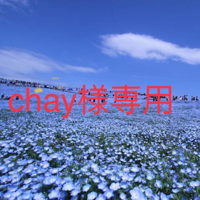 chay様専用1箱 コスメ/美容のスキンケア/基礎化粧品(パック/フェイスマスク)の商品写真