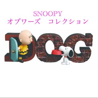 スヌーピー(SNOOPY)のSNOOPY コレクションオブワーズ(キャラクターグッズ)