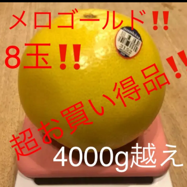 サンキスト　メロゴールド　8玉 4000g越え 食品/飲料/酒の食品(フルーツ)の商品写真