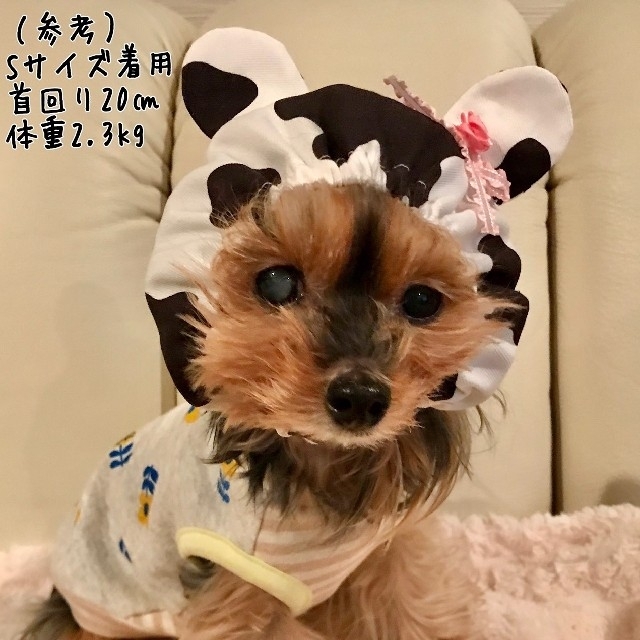 犬屋敷No.*957☆SM耳付きワンコ用スヌード（ＳＭサイズ）牛柄☆❶ ハンドメイドのペット(ペット服/アクセサリー)の商品写真