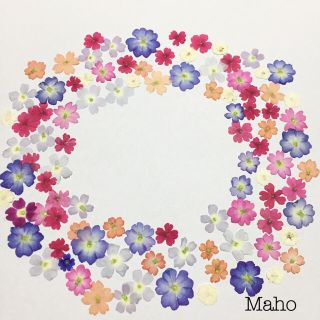 ♡M様専用ページ♡押し花素材♡(各種パーツ)