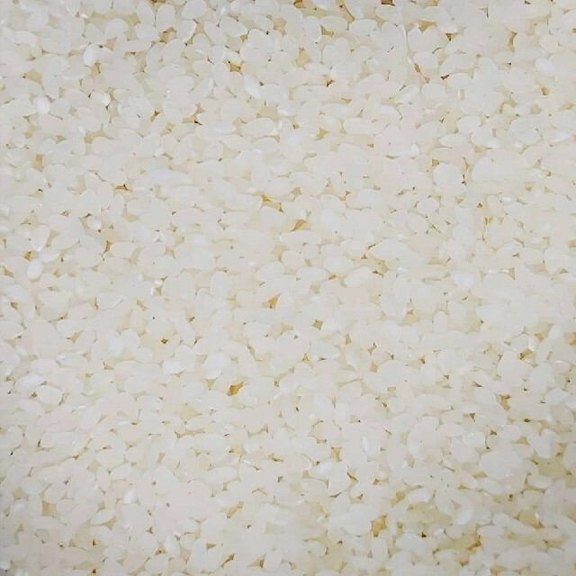 令和2年度　ひとめぼれ　30kg　お米　大粒　白米　米/穀物