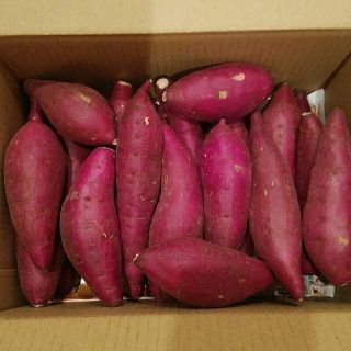 ⑥　千葉県産　べにはるか　さつまいも　サツマイモ　約2.5㎏(野菜)