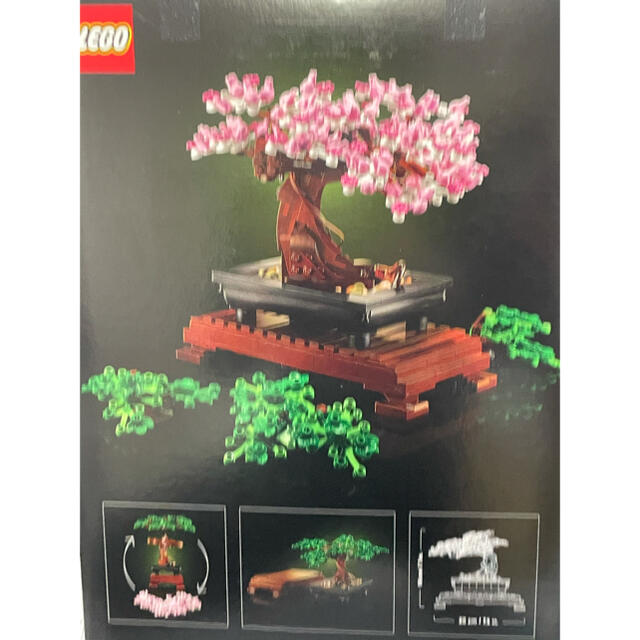 Lego(レゴ)のLEGO 盆栽　ボタニカルコレクション　10281  キッズ/ベビー/マタニティのおもちゃ(積み木/ブロック)の商品写真