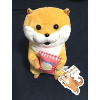 シマムラ(しまむら)の可愛い嘘のカワウソ　ぬいぐるみ　アミューズメント品(ぬいぐるみ)