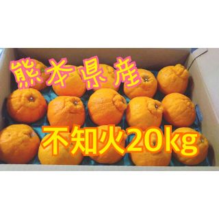 熊本県産不知火20kg(フルーツ)