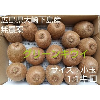 ハニコロ様専用 無農薬！広島県大崎下島産 グリーンキウイ小玉1.1キロ(フルーツ)