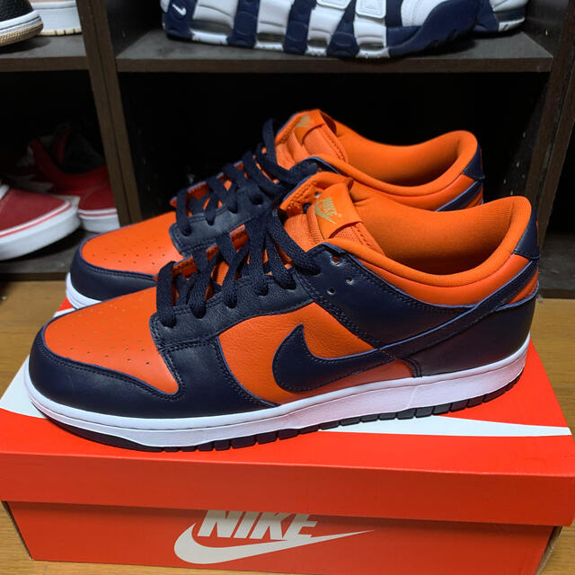 【30cm】NIKE DUNK LOW SP